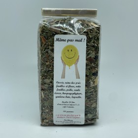 Tisane "Même pas mal" 100g
