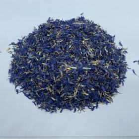 Bleuet fleurs
