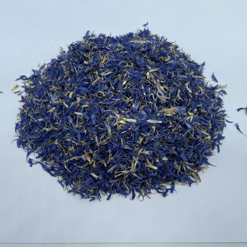 Bleuet fleurs