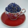 Bleuet fleurs