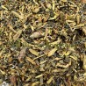 Tisane "Toux petits" 50g
