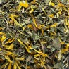 Tisane "Psoriasis Maria Treben" 280g