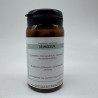 Desmodium 90 gélules