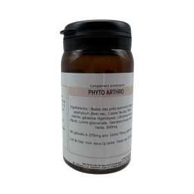 Phyto-arthro 90 gélules