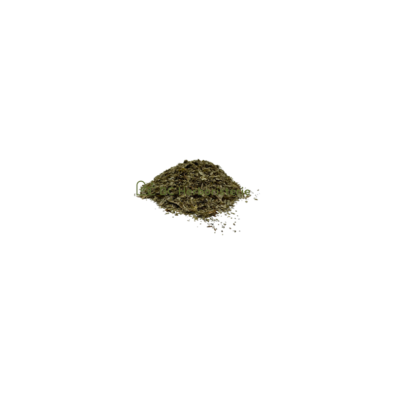 Angélique feuilles