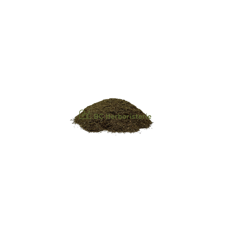 Aneth feuille
