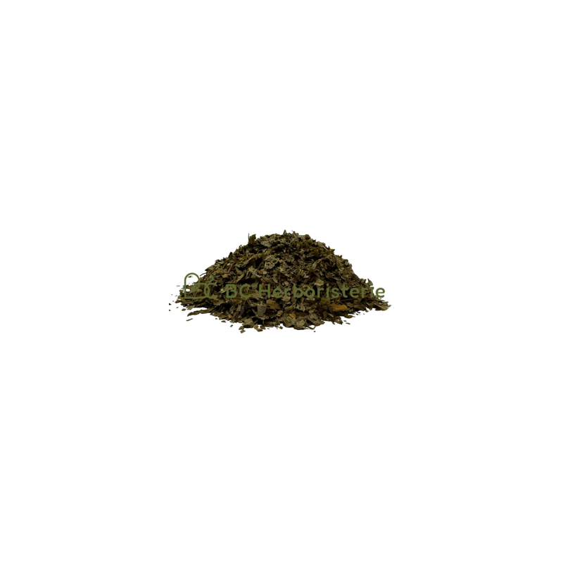 Ail des ours feuilles