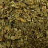Ail des ours feuilles