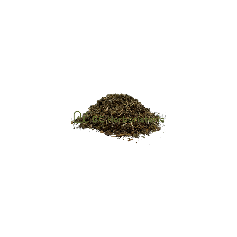 copy of Absinthe petite sommités