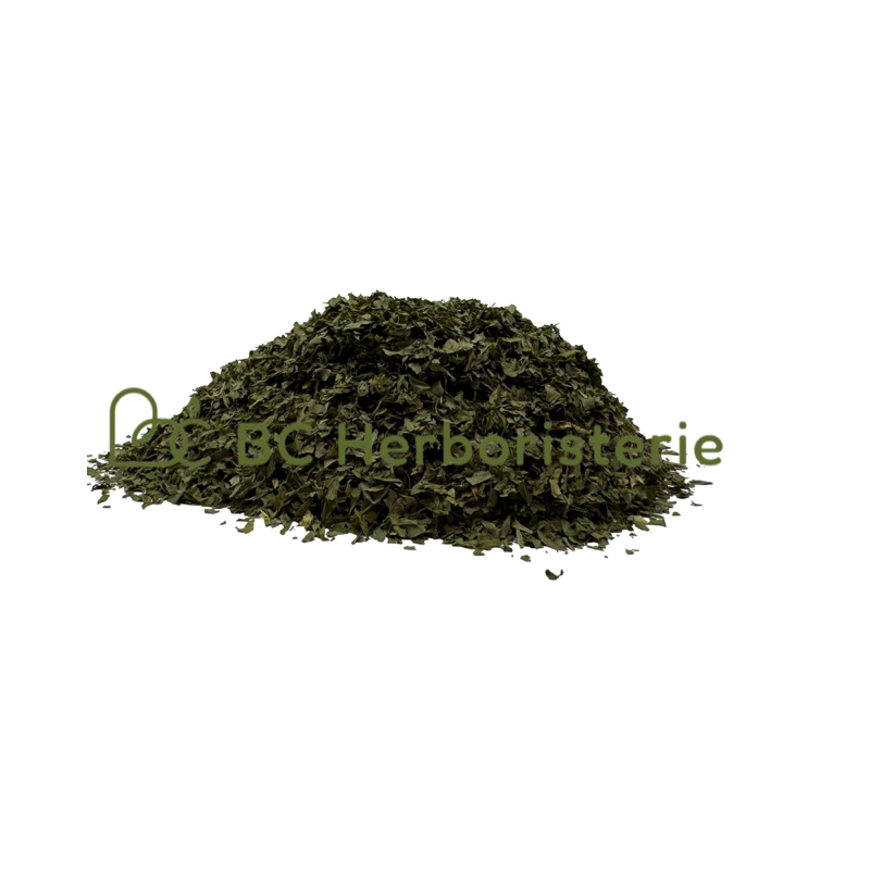 copy of Absinthe petite sommités