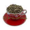 copy of Absinthe petite sommités