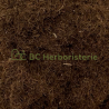 Barbe de maïs