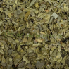 Boldo du Chili feuilles