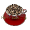 Bistorte racine