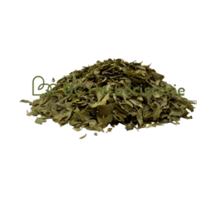 Buchu feuilles