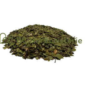Busserole (Uva ursi) feuilles