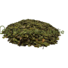 Busserole (Uva ursi) feuilles