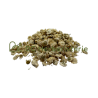 Camomille romaine fleurs