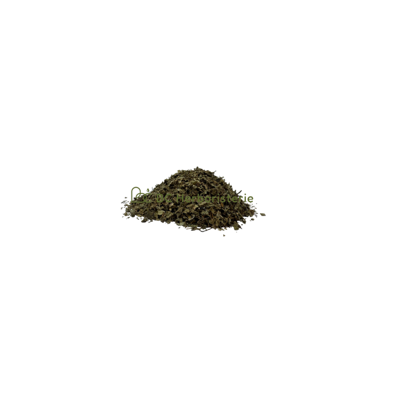 Centella asiatica (hydrocotyle) partie aérienne