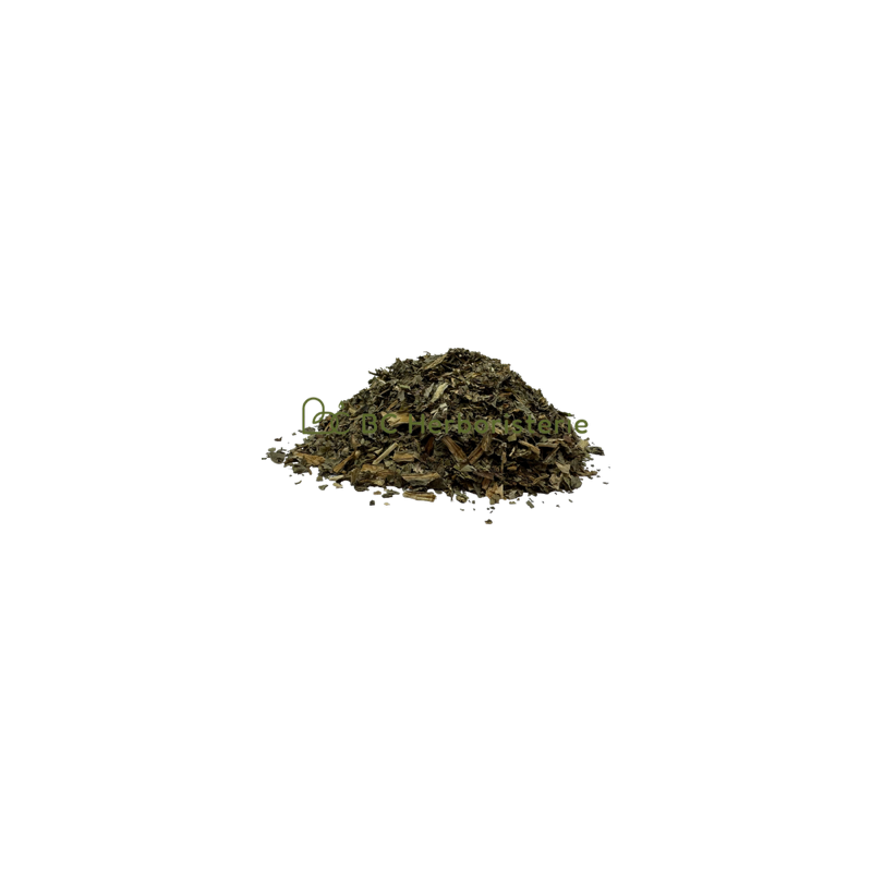Chicorée feuilles