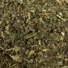 Chicorée feuilles