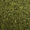 Ciboulette feuilles