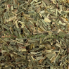 Citronnelle (lemon grass) partie aérienne
