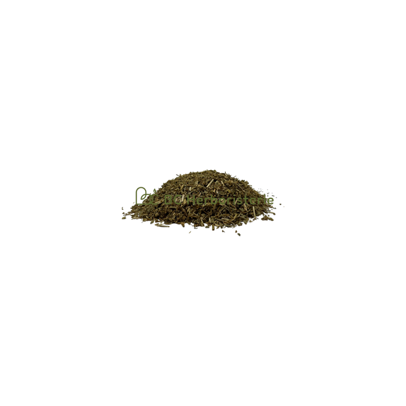 Cochlearia feuille