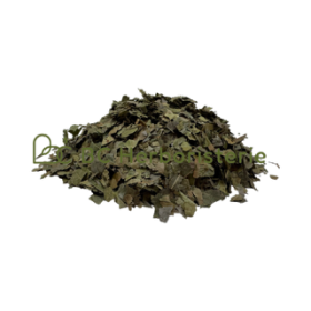 Combretum (kinkelibah) feuille