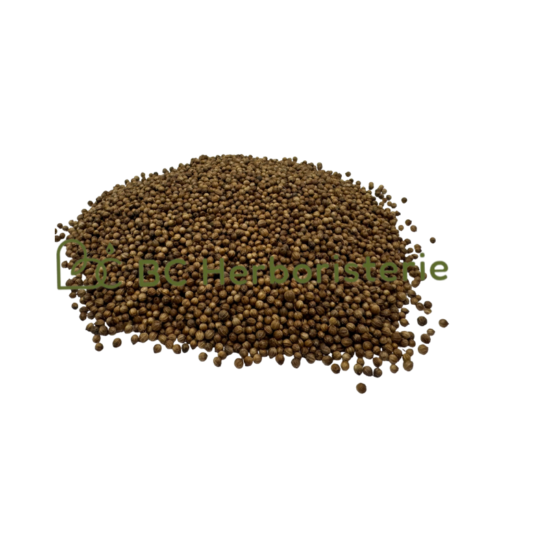 Coriandre fruit