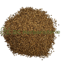 Coriandre fruit