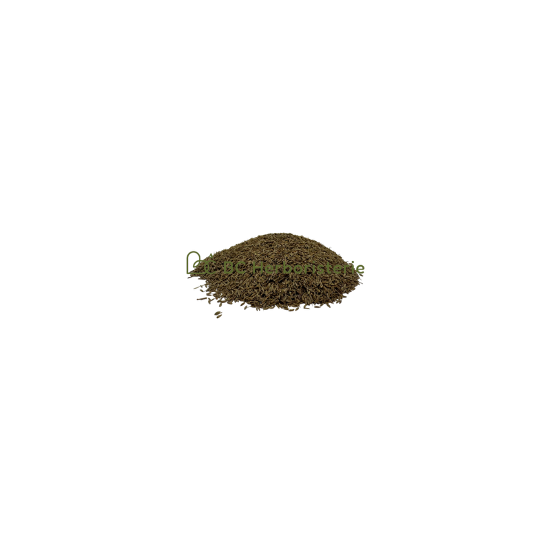 Cumin fruit