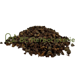 Cyprès noix