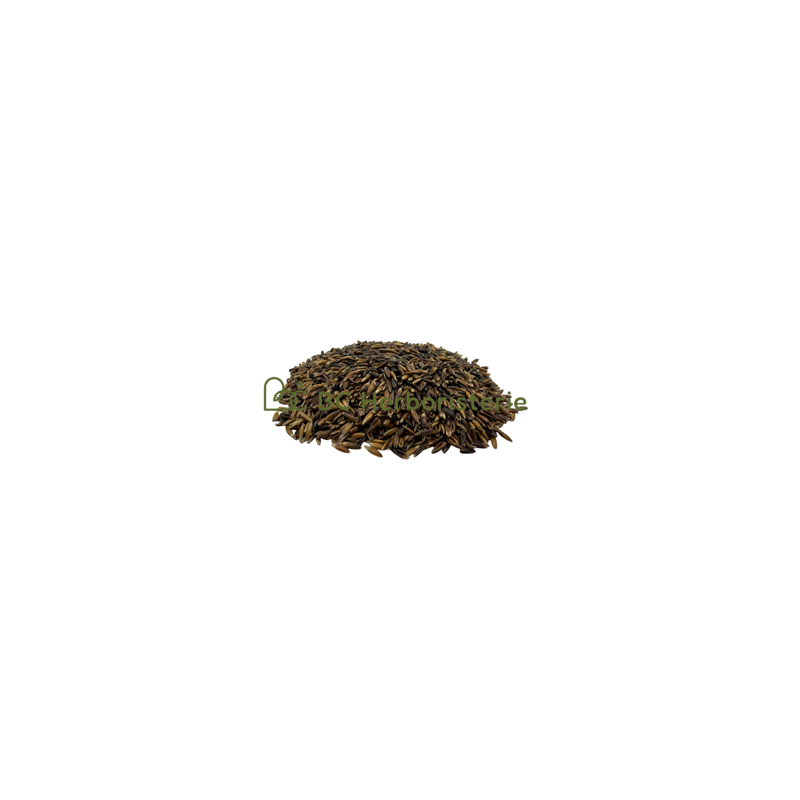 Avoine graines