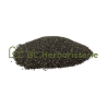 Chia graine