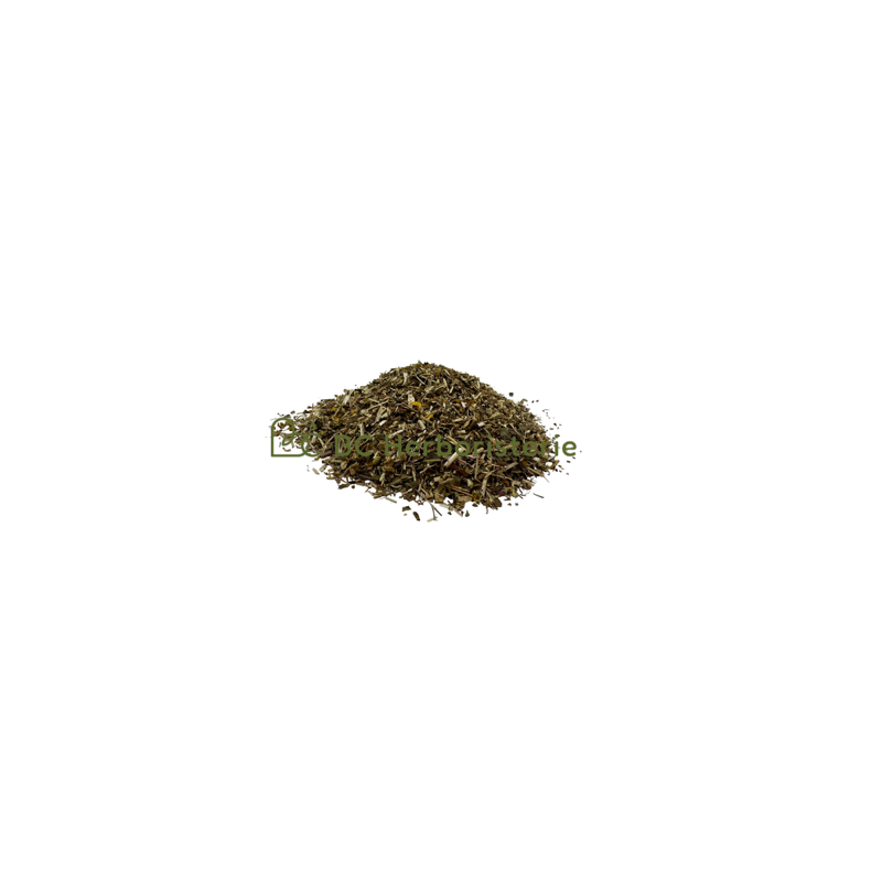 Grindélia partie aérienne