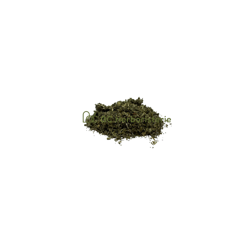copy of Absinthe petite sommités