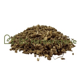 Gingembre racine