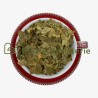 Ginkgo biloba