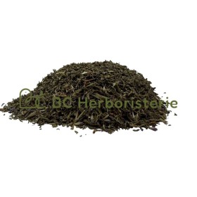 Hysope sommité fleurie