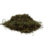 Gymnena sylvestris feuille