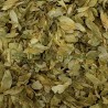 Houblon cône
