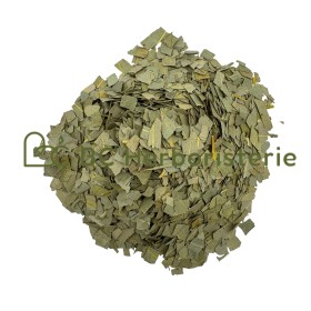 Eucalyptus feuille