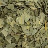 Eucalyptus feuille