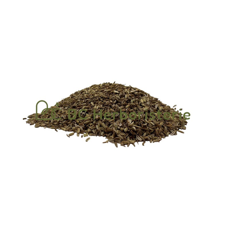 Fenouil doux fruit