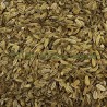 Fenouil doux fruit