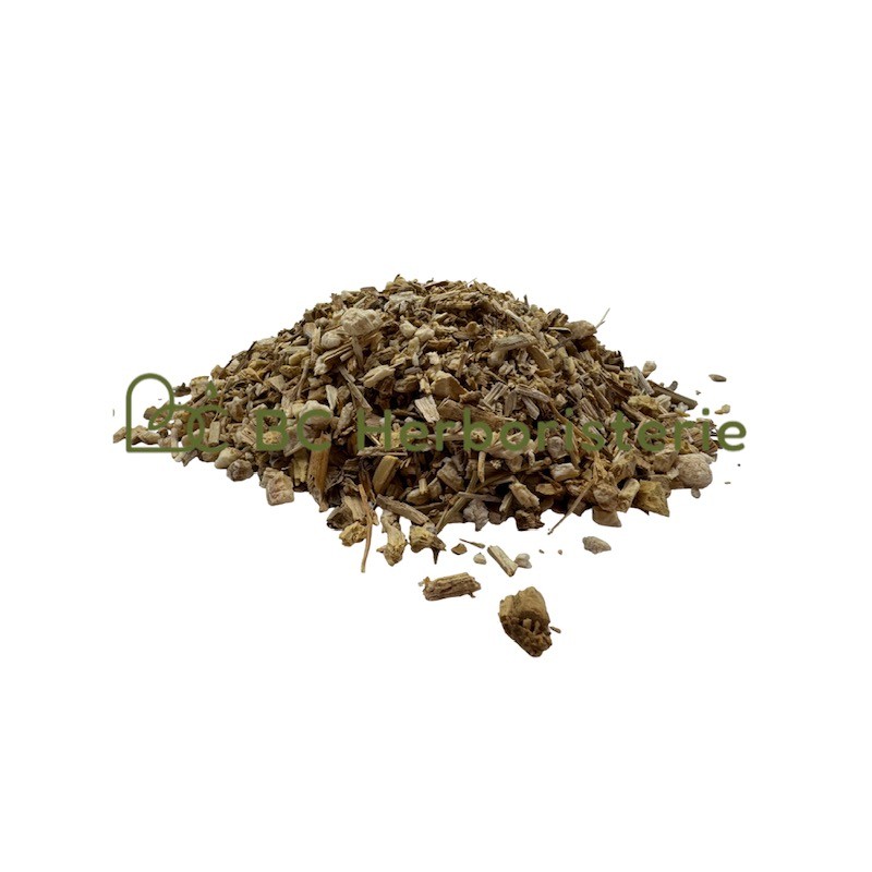Fenouil doux racine