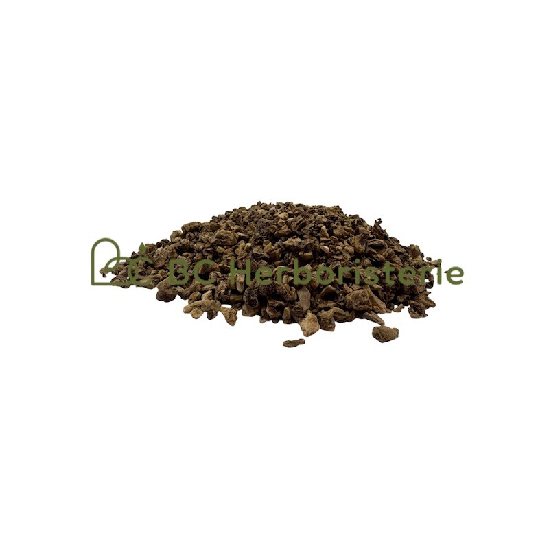 Harpagophytum racine