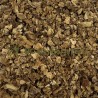 Harpagophytum racine