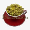 Immortelle à grosse fleur